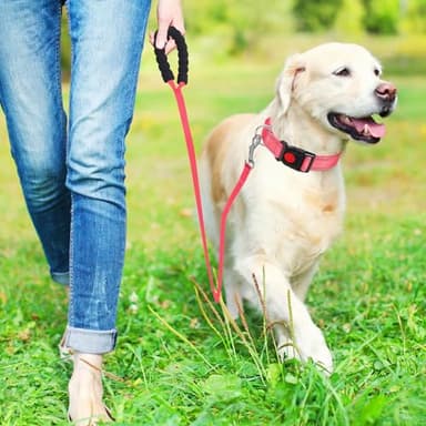 VTOPVMAX Martingale Collar for Dogs, Reflective Nylon Dog Collar with One 70.86 in Long Dog Leash, Quick Release Buckle, Adjustable Nylon Collars for Dogs Walking Training (Rose M) - Image 7