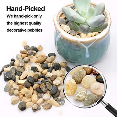 River Rocks Stones Natural Decorative Mixed Color Pebbles Fish Tank Gravel Small Garden Rocks Soil Cover for Aquariums, Landscaping, Vase Fillers, Succulent, Tillandsia, Cactus, Terrarium Plants 2.2lb - Image 4