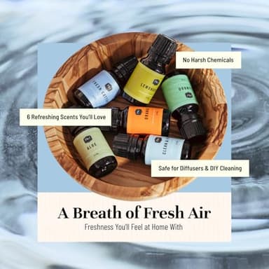 P&J Fragrance Oil Clean Home Set | Lemongrass, Fresh Cotton, Clean & Fresh, Aloe, Bamboo, Orange Candle Scents for Candle Making, Freshie Scent, Soap Making Supplies, Diffuser Oil Scents - Image 4