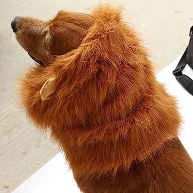 Lion Mane for Dog Costumes Realistic Funny Lion Wig for Medium Large Sized Dogs Halloween Pet Costume - Image 6