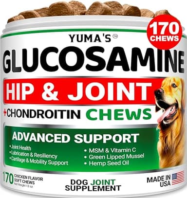 YUMA'S Glucosamine for Dogs - Hip and Joint Supplement for Dogs - 170 Ct - Glucosamine Chondroitin Chews - Joint Pain Relief Supplement with MSM - Advanced Health - Mobility Support - Made in USA - Image 1