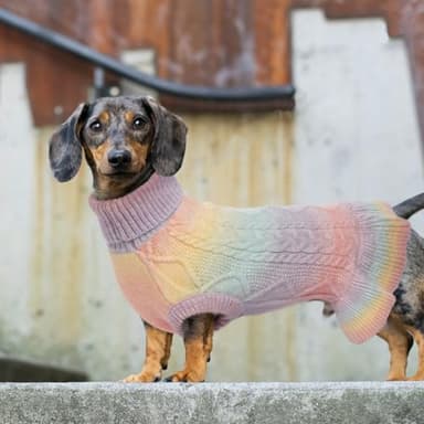 Lelepet Dog Sweater Turtleneck Knitwear Sweatshirt Cable Knit Warm Dress for Small Medium Large Dogs Puppy Fall Sweater, Dachshund, Shih Tzu, L - Image 7