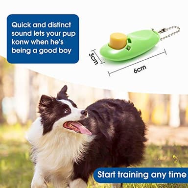 BAAPET 15/20/30/50/100 ft Long Dog Training Leash with Clickers for Small, Medium and Large Dogs or Cats (100 Feet, Springgreen) - Image 5