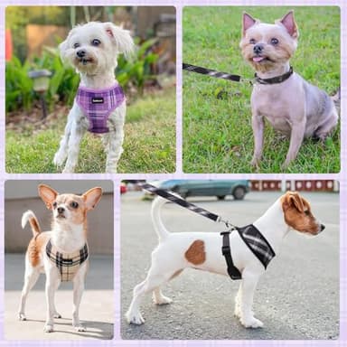SCENEREAL No Pull Dog Harness Collar and Leash Set for Small Sized Dogs, Soft Mesh Step in Plaid Harnesses for Fall Winter, Adjustable Pet Vest for Outdoor Walking Training and Running - Image 6