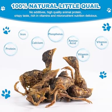 Freeze Dried Little Quail - Single Ingredient Cat and Dog Treats Natural Animal Protein Healthy Tasty Snacks for Training (85g) - Image 3