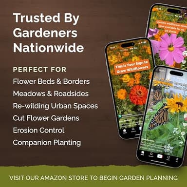 Eden Brothers All Perennial Wildflower Mixed Seeds for Planting, 1/4 lb, 120,000+ Seeds with Lupine, Shasta Daisy | Attracts Pollinators, Plant in Spring or Fall, Zones 3, 4, 5, 6, 7, 8, 9, 10 - Image 5