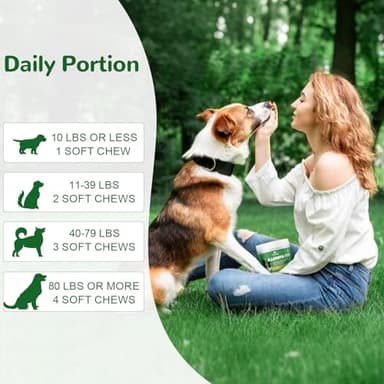 Vetriuntrix Dog Allergy Relief Chews, Dog Itch Relief Chews for Large Dogs Paw Licking Itchy Skin Seasonal Allergies, Probiotics with Astragalus Omega-3 for Coat Immune Supplement-150ct - Image 7