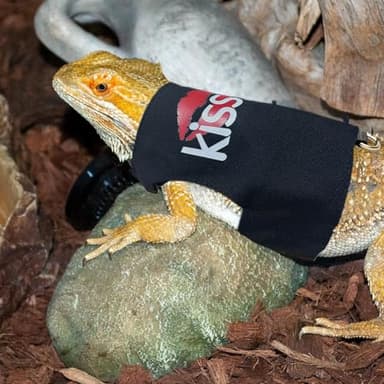 Bearded Dragon Leash and Harness Adjustable - Unique Pattern Lizard Cloth Escape Proof Harness with Leash for Walking Outdoor (Black) - Image 4