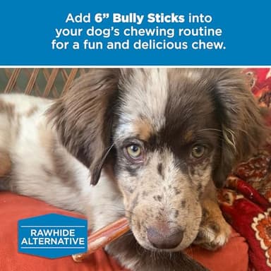 Best Bully Sticks 6 Inch Bully Sticks for Dogs - 50 Count (Pack of 1) - Natural, Easily Digestible, 100% Grass-Fed Beef, Grain and Rawhide Free - Image 6