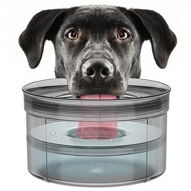Techphardo 1Gallon No Spill Dog Water Bowl-3.8L Large Capacity, BPA-Free, Anti-Splash & Anti-Digging Design with Non-Slip Base, for Messy Drinkers - Image 9