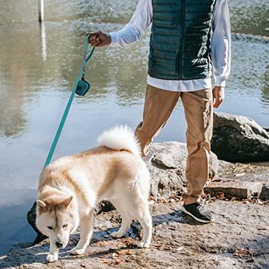 Wolfone 6ft Viridian Green Waterproof Dog Leash with Dog Poop Bag Dispenser Safety Auto-Lock Carabiner Leash for Dogs Soft Handle Easy Care - Image 8