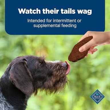 Blue Buffalo Nudges Jerky Cuts Dog Treats, Made in the USA with Natural Ingredients, Steak, 16-oz Bag - Image 8