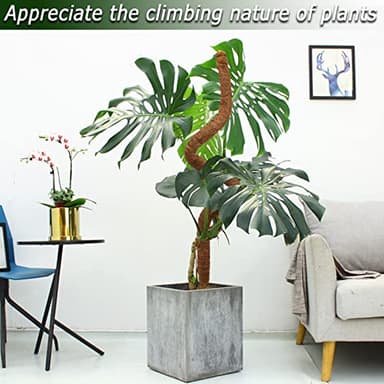 Bendable Moss Pole, 47 Inch Moss Poles for Plants Monstera, Tall Moss Poles for Climbing Plants Indoor, Large Moss Pole Support, Garden Trellis Plant Stand Stakes for Potted Plants, Pothos - Image 5