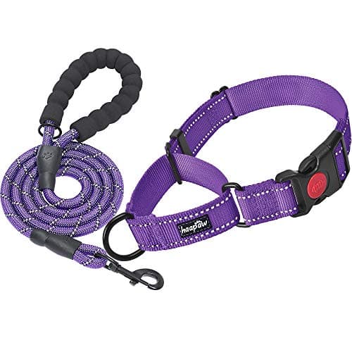 haapaw 2 Packs Martingale Dog Collar with Quick Release Buckle Reflective Dog Training Collars for Small Medium Large Dogs - Image 1