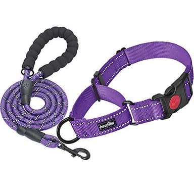 haapaw 2 Packs Martingale Dog Collar with Quick Release Buckle Reflective Dog Training Collars for Small Medium Large Dogs - Image 1