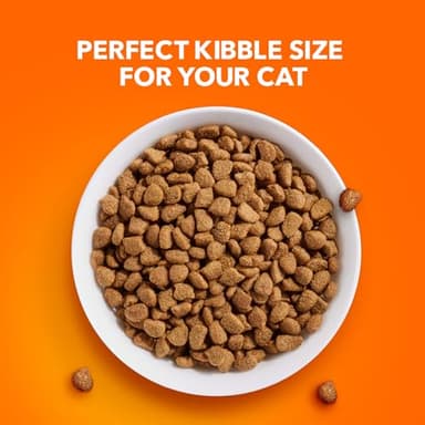 IAMS Proactive Health Indoor Weight Control & Hairball Care Adult Dry Cat Food, Chicken & Turkey Recipe, 16 lb. Bag - Image 9