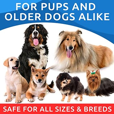 BARK&SPARK Omega 3 for Dogs - 180 Fish Oil Treats for Dog Shedding, Skin Allergy, Itch Relief, Hot Spots Treatment - Joint Health - Skin and Coat Supplement - EPA & DHA Fatty Acids - Alaskan Salmon - Image 7