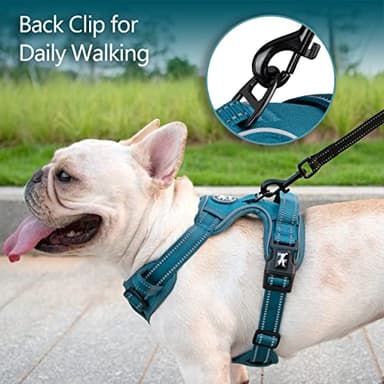 PoyPet No Pull Dog Harness, No Choke Reflective Dog Vest, Adjustable Pet Harnesses with Easy Control Padded Handle for Small Medium Large Dogs(Tumalo Teal,L) - Image 7