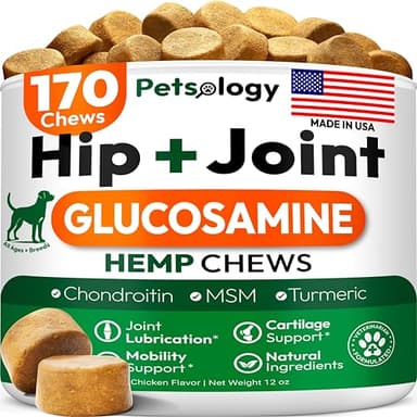 Hemp Hip and Joint Supplement for Dogs - Glucosamine for Dogs - 170 Mobility Support Chews - Advanced Joint Pain Relief Treats with Chondroitin, MSM, Turmeric - Large & Small Breeds - Made in USA - Image 1