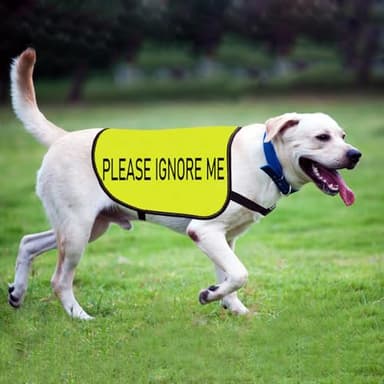 Working Dog Jacket Vest Please Ignore Me Alert Dog Slogan Vest Social Distancing Gift (Please Ignore Me-Medium) - Image 4