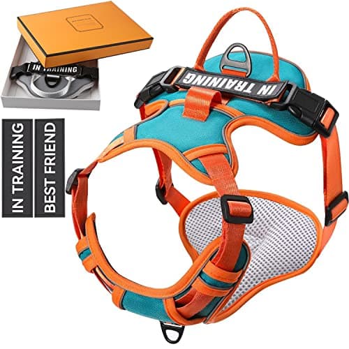 WENDISI Mint Green Large Dog Harness, Reflective Oxford Vest with No Pull & No Choke Dual Clips, Adjustable Soft Padded Harness with Easy Control Handle, for Dog Walking, Jogging, Hiking - Image 1