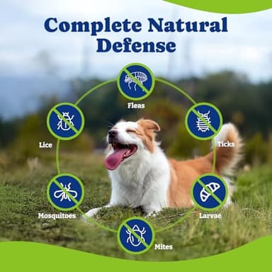 YoYoBay Flea & Tick Prevention for Dogs Chewables, Natural Dog Flea and Tick Control Treatment, Oral Flea Pills, Dogs Supplement, Natural Shield 5-in-1 Protection, Beef & Carrot Flavor, 180 Soft Chews - Image 6