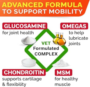 Senior Advanced Glucosamine Chondroitin Joint Supplement for Dogs - Hip & Joint Pain Relief Pills - Large & Small Breed - Hip Joint Chews Canine Joint Health - Chews Older Dogs - Bacon Flavor-120Ct - Image 7