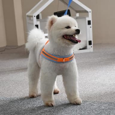 AIITLE Soft Padded Dog Vest Harness, No Pull Dog Harness with A Handle, Escape Proof/Quick Fit Reflective Dog Strap Harness, Easy for Training Walking Running for Small Dogs Orange-Blue XS - Image 6