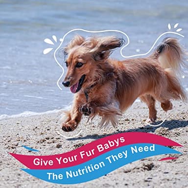 NATURE TARGET Dog Vitamins Powder, Probiotics & Digestive Enzymes for Gut Health, Glucosamine & Chondroitin & Omega 3, Complete Supplement for Homemade Dog Food, Joint & Skin & Immune Support - Image 10