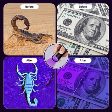 UV Flashlight Black Light, Consciot 12 LED 395nm Ultraviolet Blacklight, Portable Mini Torch Light Pet Urine Detector for Dog/Cat Urine, Dry Stains, Bed Bug, Matching with Pet Odor Eliminator - Image 6