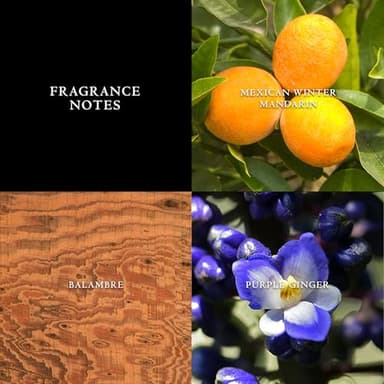 John Varvatos Men's Cologne, Artisan Eau de Toilette EDT Spray, Woody Citrus Scent with Notes of Mexican Winter Mandarin, Purple Ginger & Balambre, 4.2 fl oz - Image 2