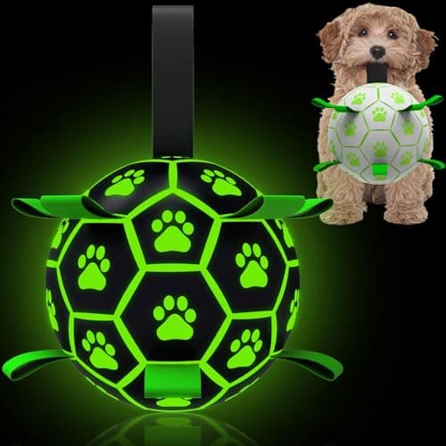 QDAN Premium Glow in The Dark Dog Toys, Dog Ball with Straps, Soccer Ball for Dogs, Outdoor Dog Toys, Pet Birthday Toys, Puppy Essentials for Small to Medium (6Inch) - Image 1