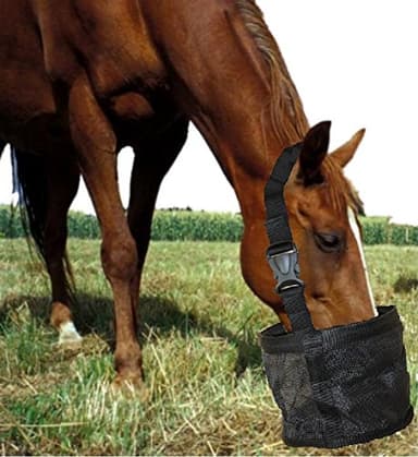 Feed Bag for Horses, Heavy Duty Durable Canvas Grain Feedbag, Small Medium or Large - Image 1