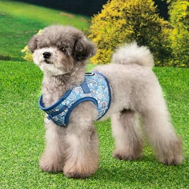 Puppia Cynthia Dog Vest Harness B (Step-in) Fashionable Paisley Pattern Spring Summer Harness for Small and Medium Dogs, Blue, X-Large - Image 3