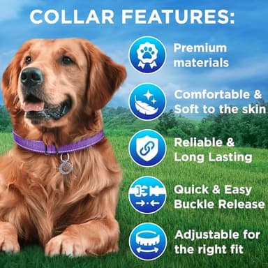TECEUM Reflective Dog Collar – Violet – S – Basic Nylon Pet Collar – Quick Release Buckle – Fits Small, Medium and Large Dogs, Puppies, Cats – ESA & Service Dog Options - Image 3