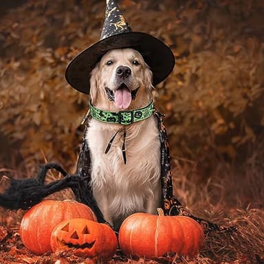 TDTOK Halloween Dog Collar, Soft Comfy Halloween Themed Pet Collar with Spooky Ghost Skull Bat Cat Witch Tree Hat Pumpkin Pattern for Small Medium Large Dogs (1 PCS) - Image 2