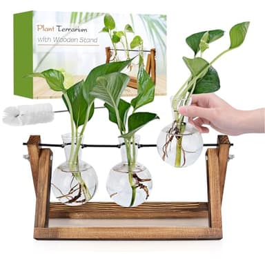 Renmxj Plant Propagation Station, Plant Terrarium with Wooden Stand, Unique Gardening Birthday Gifts for Women Plants Lovers, Home Office Garden Decor Planter - 3 Bulb Glass Vases - Image 1