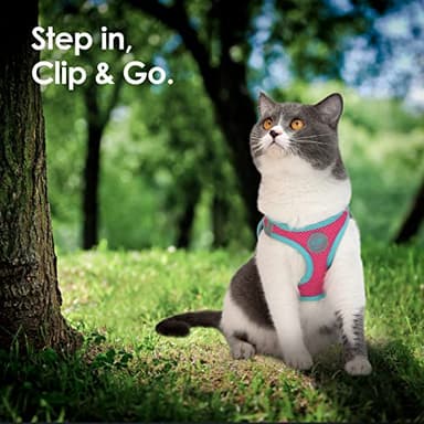PHOEPET Step-in Dog Harness,Reflective Adjustable Dog Vest Harness, Soft Pet Walking Jacket with 2 Metal Leash Hooks for Dog and Cat(Pink Base & Green Straps,L) - Image 6