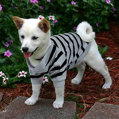 Preferhouse Pet Dog Striped T-Shirt Dogs Cats Cotton Vest Spring Summer Pet Apparel Tee Shirt Suitable for Small and Medium Large Pets French Bulldog Bichon - Image 6