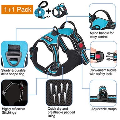 tobeDRI No Pull Dog Harness Adjustable Reflective Oxford Easy Control Medium Large Dog Harness with A Free Heavy Duty 5ft Dog Leash (L (Neck: 18"-25.5", Chest: 24.5"-33"), Blue Harness+Leash) - Image 3