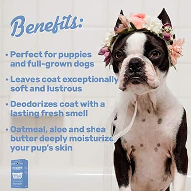 OLIVER'S CHOICE Dog Shampoo with Oatmeal, Aloe & Shea Butter – Deodorizing Puppy Shampoo for Smelly Dogs, Itchy Skin Relief, Paraben-Free, Biodegradable, Cruelty Free – 12 fl. oz - Image 2