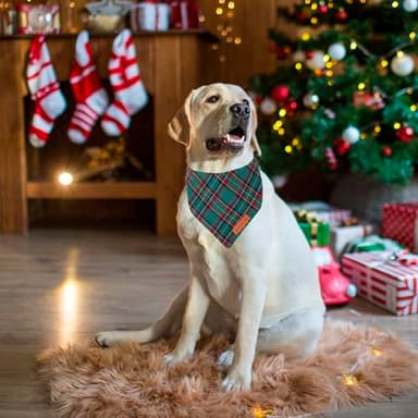 ADOGGYGO Christmas Dog Bandanas 2 Pack, Unique Shape, Premium Cotton Fabric, Multiple Sizes, Stylish Red Green Plaid Pet Christmas Bandanas for Large and Extra Large Dogs (X-Large, Style 2) - Image 3