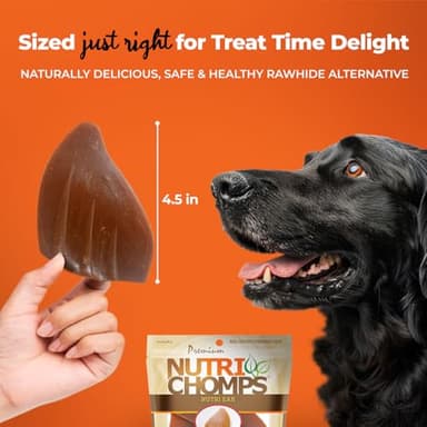 NutriChomps Dog Chews, Ear-Shaped, Easy to Digest, Rawhide-Free Dog Treats, 10 Count, Real Chicken flavor - Image 4