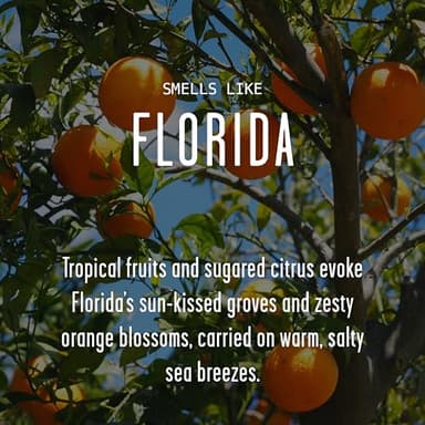 Florida Gifts, Florida Decor for Home - 'There's No Place Like Florida Candle, w/Tropical Fruits & Sugared Citrus I Florida Souvenirs I Florida State Gifts I 9oz Jar, 50Hr Burn, USA Made - Image 3