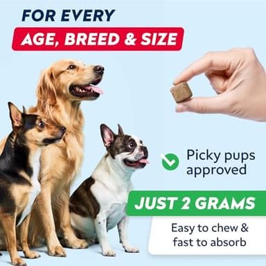 STRELLALAB Green Grass Dog Chews - Dog Pee Grass Helper - Supplement Urine Neutralizer for Grass Burn Spots - Grass Treatment for Pet Urine - Pee Lawn Repair Treats with Probiotics - Made in USA - Image 7