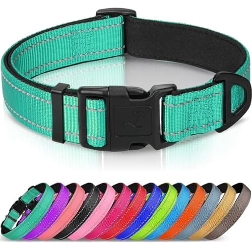 Joytale Reflective Dog Collar, Soft Neoprene Padded, Metal D-Ring, Nylon Pet Collar Adjustable for Extra Large Dogs, Teal, XL - Image 1