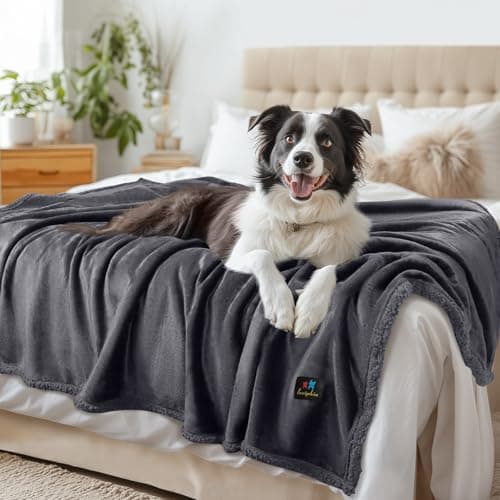 Waterproof Pet Blanket, Liquid Pee Proof Dog Blanket for Sofa Bed Couch, Reversible Sherpa Fleece Furniture Protector Cover for Small Medium Large Dogs Cats, Dark Gray X-Large（85" x 57"） - Image 1