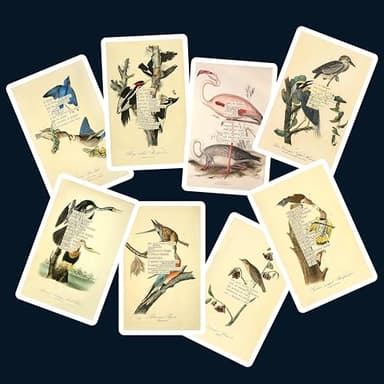 An Almanac of Birds: 100 Divinations for Uncertain Days - Image 18