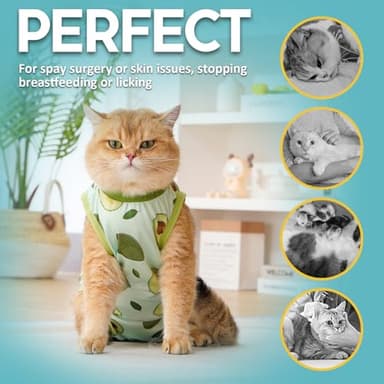 Avont Cat Recovery Suit - Kitten Onesie for Cats After Surgery, Cone of Shame Alternative Surgical Spay Suit for Female Cat, Post-Surgery or Skin Diseases Protection -Avocado(M) - Image 4