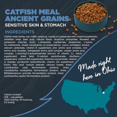 Blackwood Sensitive Skin & Stomach Dry Dog Food, Catfish Meal & Brown Rice with Ancient Grains, 24 Pound Bag with Prebiotics & Probiotics to Promote Gut Health - Image 2